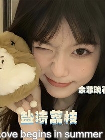 盐渍荔枝