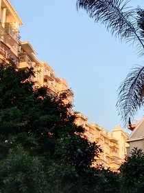 予你我心动的暗号