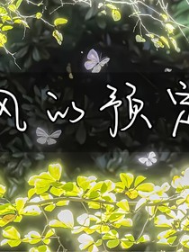 风的预定
