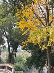 成长不是一瞬间