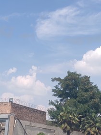 温存笙情