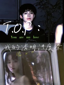 TOP：我的透明进度条