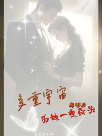 多重宇宙：离婚后，为她一夜白头