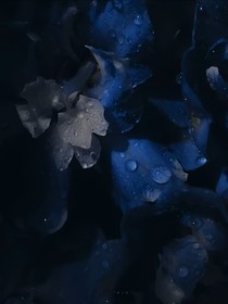 快穿之鬼界使者爱上我