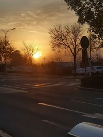 风知道我想你
