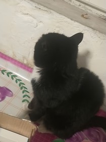 被忘掉的时代