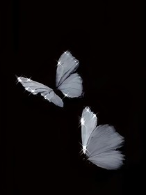 情感轉(zhuǎn)移