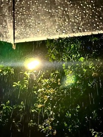 冬月落雪正月融