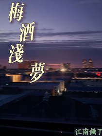 梅酒浅梦