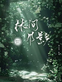 林間月影