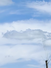 木奇灵之传奇小哥