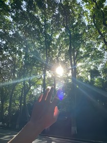 春日的交响乐