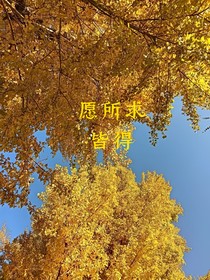 愿所求皆得