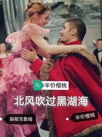 HP北风吹过黑湖海（赫敏，克鲁姆）