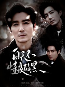 白夜追凶：白天不懂夜的黑