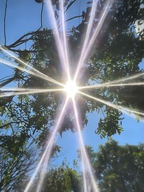 春日的序章