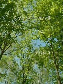 筑梦少年植物篇