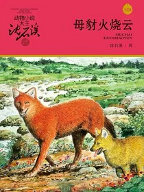 母豺火烧云之逆转时空