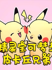 精灵宝可梦之皮卡丘兄弟