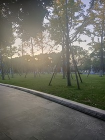 为了忘却的记念