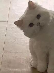 无厘头的小剧场
