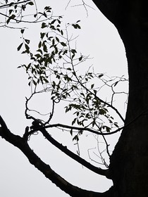 （段宜恩）——美味的恋爱脑