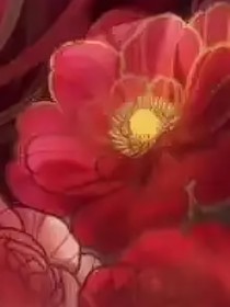 APH觀未來