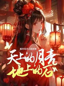 天上的月亮地上的石