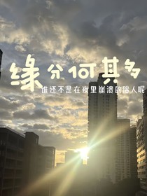 缘分何其多