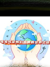 毛毛與寵物們的拯救世界之旅