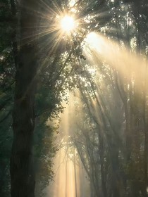打破邪恶组织的计划