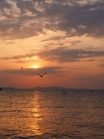 all瑞：DAYBREAK黎明