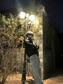 無刺玫瑰——洋桔梗