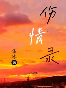 伤情录