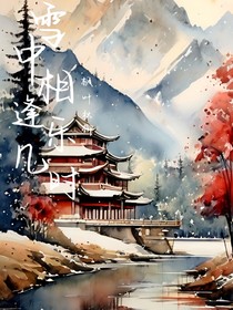 雪中相逢樂(lè)幾時(shí)