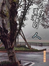 雾中漫步的人