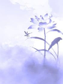 黑白的罪恶