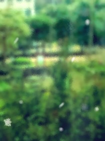 杂章寄放处