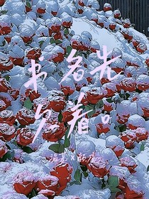 书名先欠着哦
