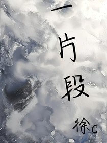 一片段