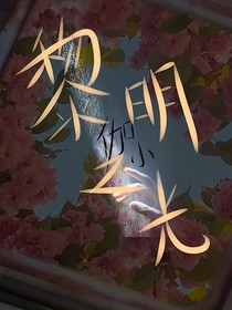 伽小：黎明之光