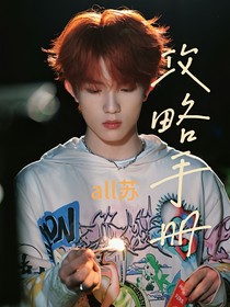all苏：攻略手册