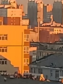 杂林