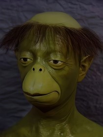 過期的人