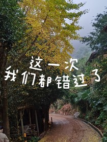 这一次我们都错过了