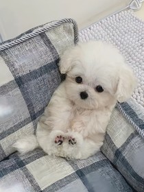 無怨無悔：今生今世
