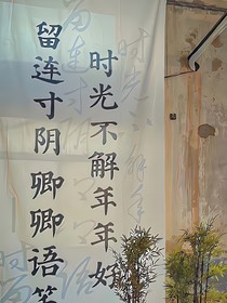TF三代：白莲花女主死远点