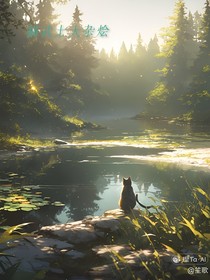猫武士大杂烩