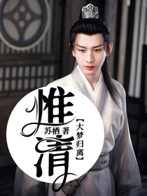 大梦归离：惟清