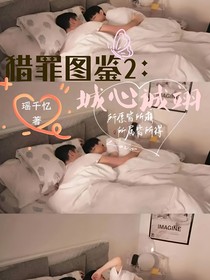 猎罪图鉴2：城心诚翊